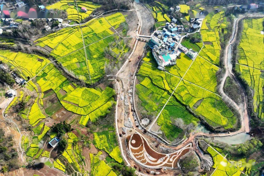 铜鼓镇油菜花民间文化节,精彩现场抢"鲜"看!