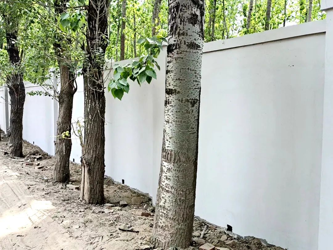 "双十行动"强治理|长阳镇朱岗子村:"双网格"齐头并进 共筑和美乡村新