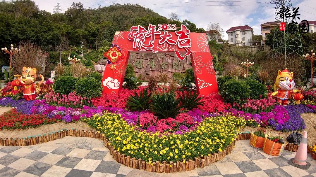 韶城各处摆花迎新春你家附近也摆上花了吗