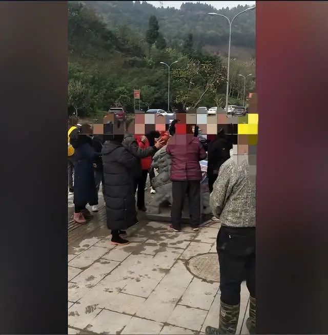 南充阳光半山府邸小区好热闹哦