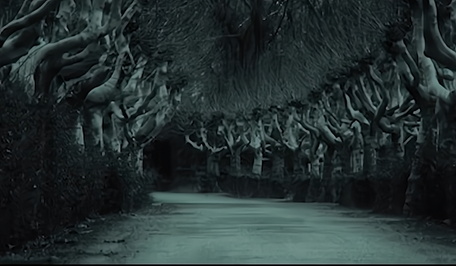 日本最神奇的村落——巨头村