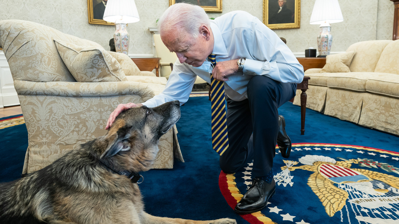 美总统拜登新冠检测阴转阳,和宠物狗一起拍视频回应:我感觉良好