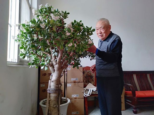 5种花"怕见光",一晒就完蛋,高温时想"保命"?远离南阳台