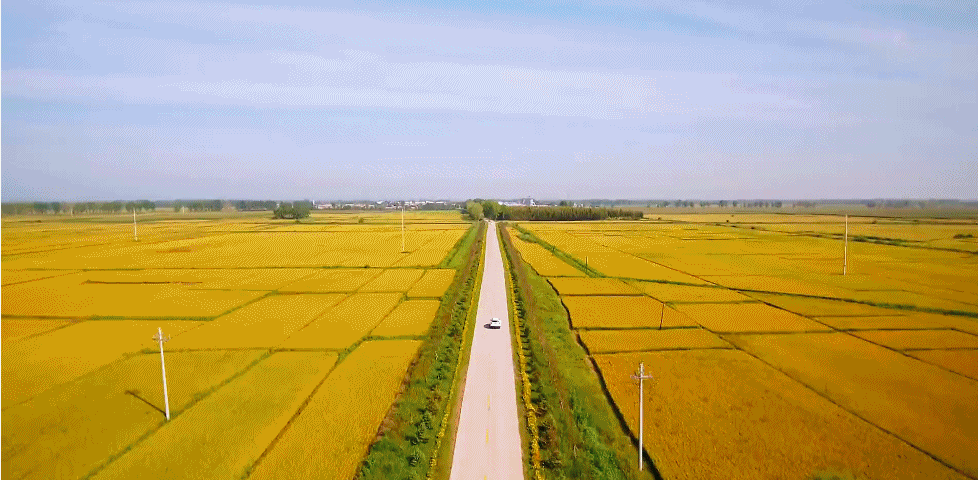 中国夏天最美12条自驾线,7月沿途美成天堂,第一条就想立马出发