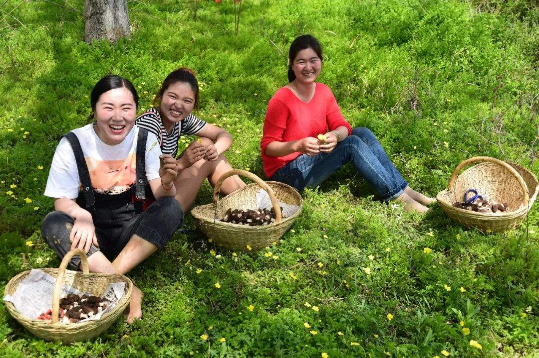 农村年轻人不愿种地,真实原因让人心酸,可能和大家想的不一样