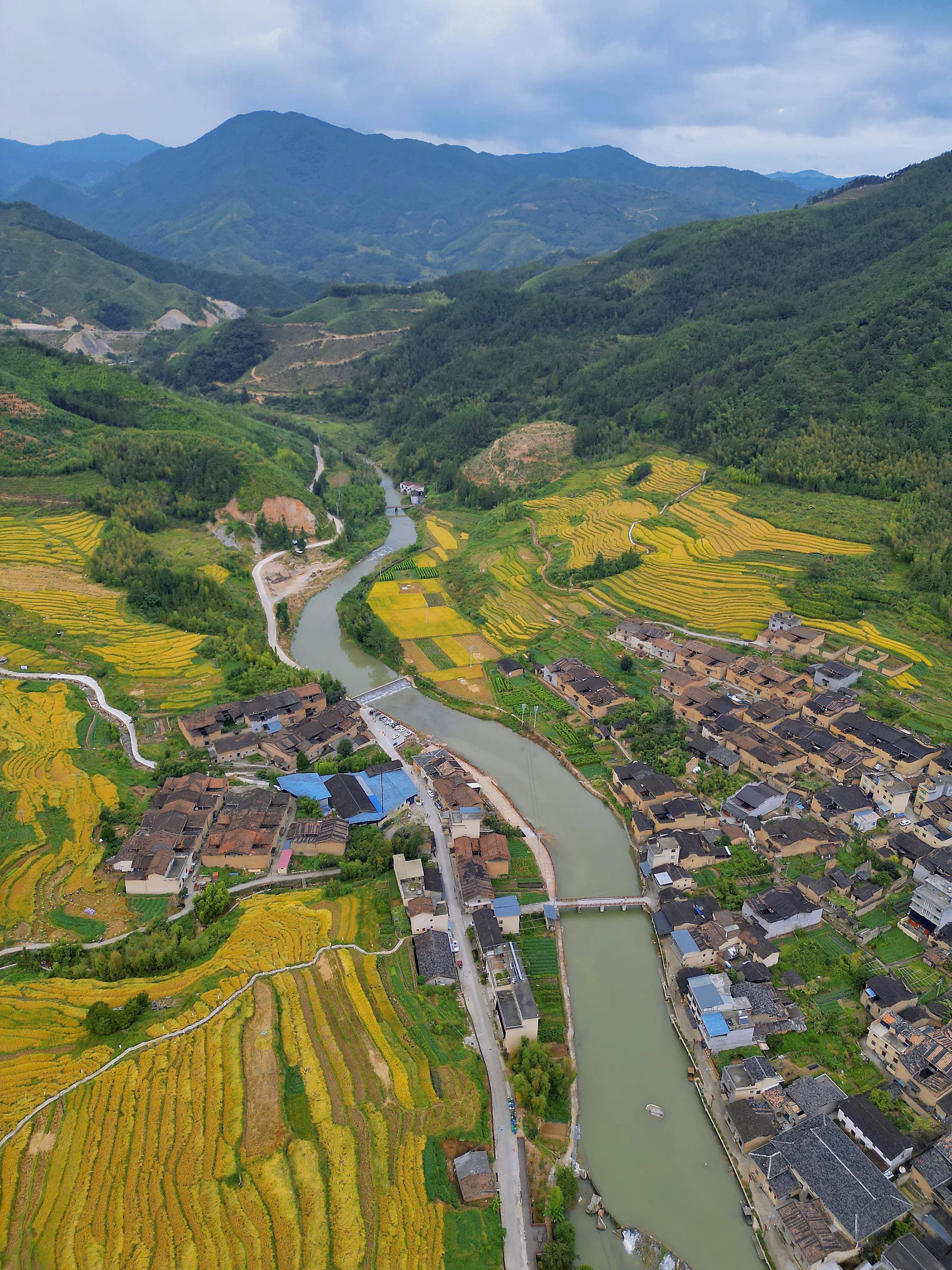 福建漳平梯田图片