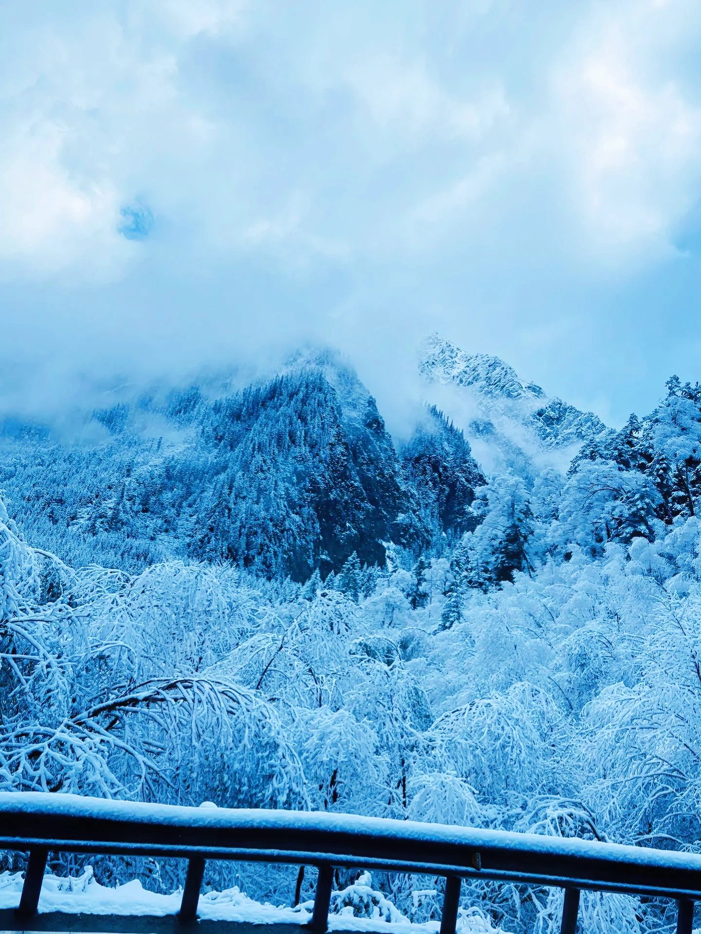 九寨沟下雪啦~人间仙境,有被治愈到