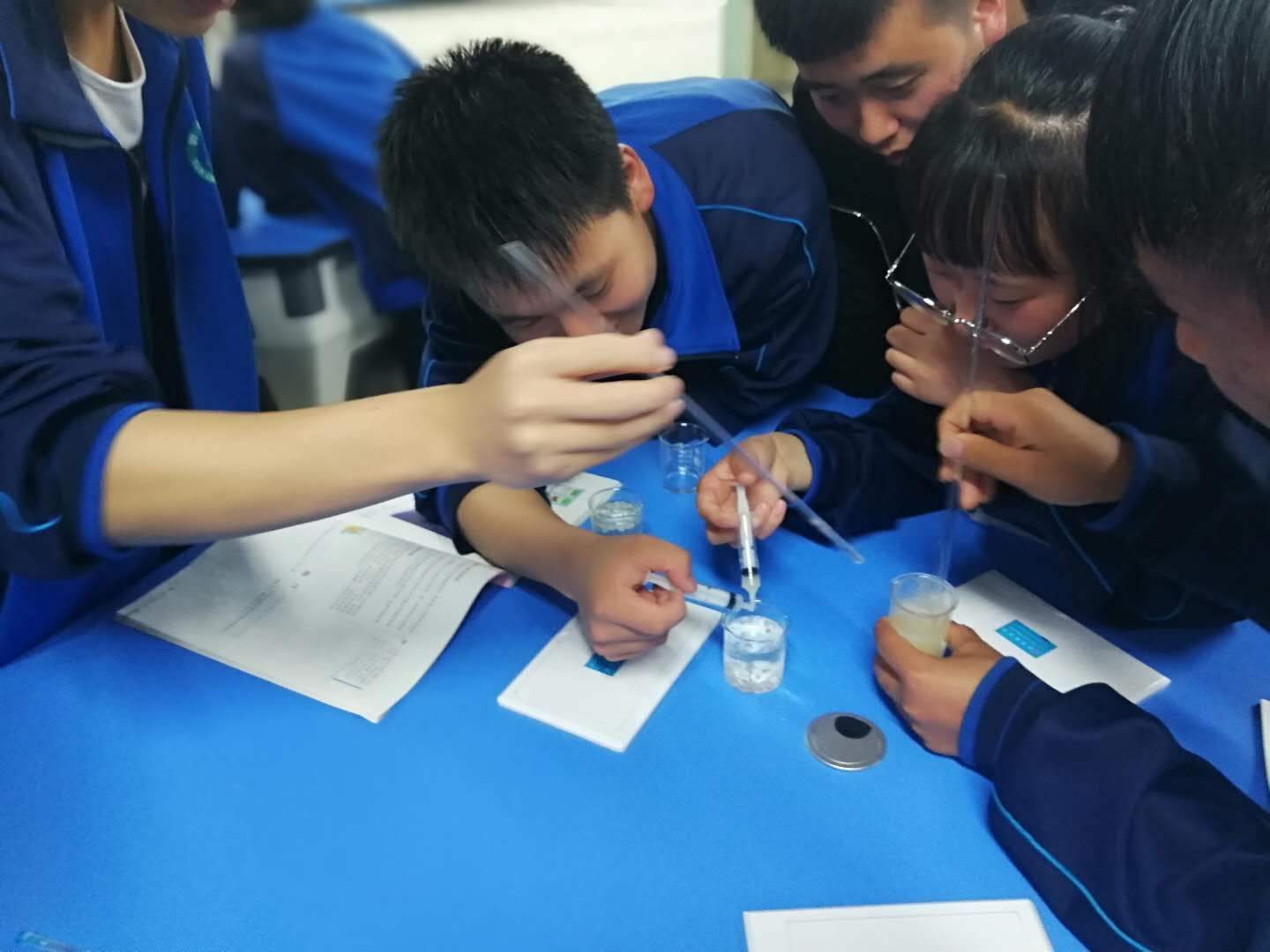 高中生物实验探究性教学中,落实核心素养的策略探讨