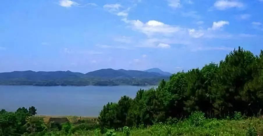 杨汇泉在澧县:修建太青山门水库背后的故事