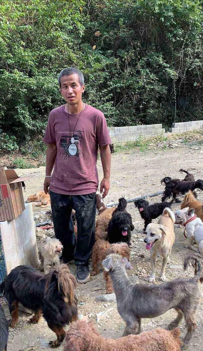 上海阔少倾家荡产,只为收养3000只流浪狗,被称为"千狗之父"