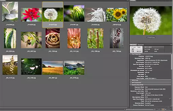 adobe bridge(br) 安装包下载br全版本下载bridge中文版