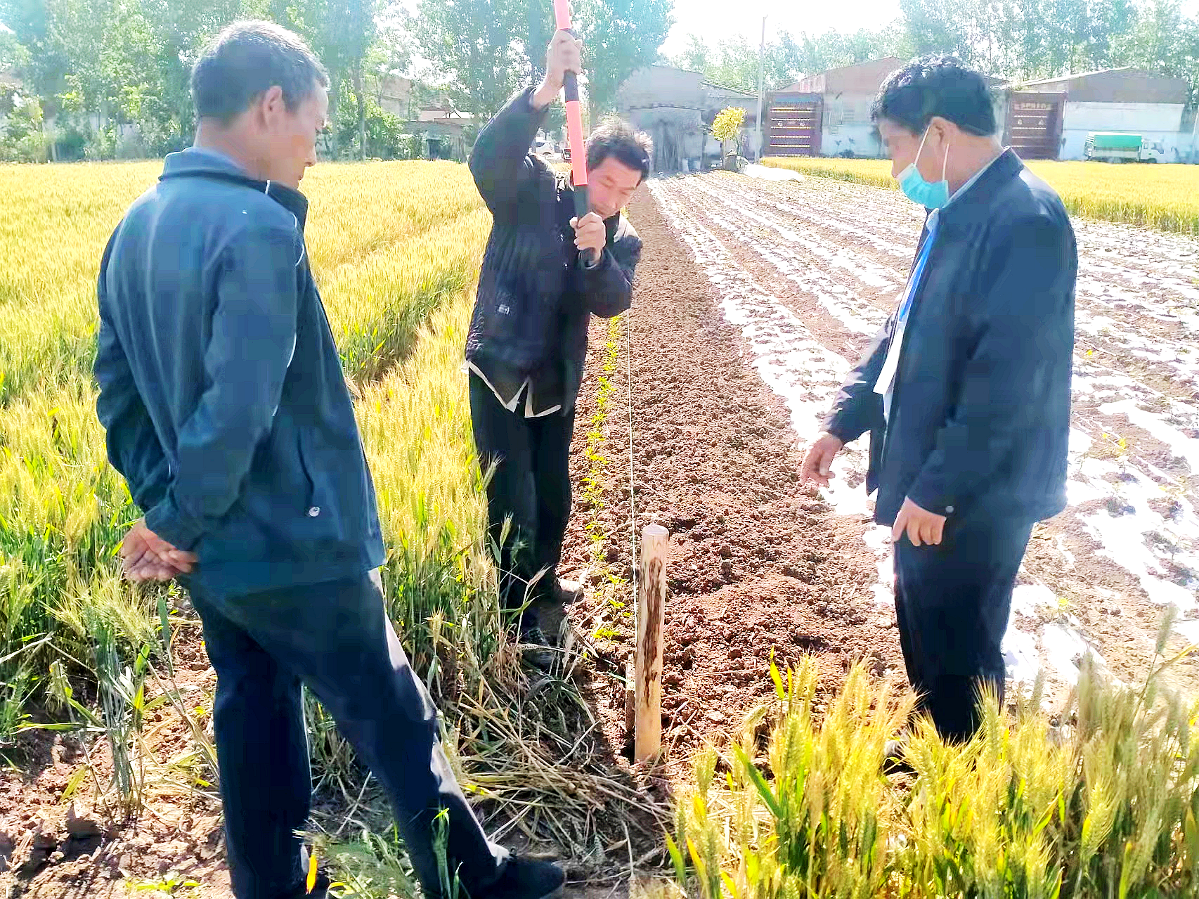 临颍:经过三天的耐心疏导,王岗镇成功调解一起土地纠纷