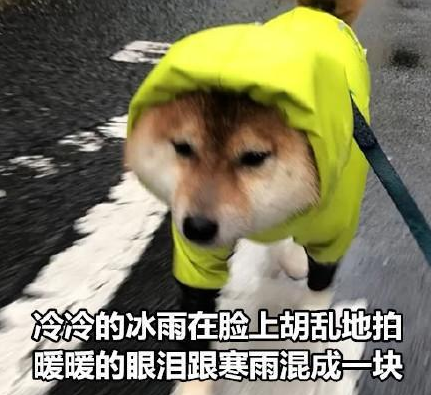 冷风冷雨图片