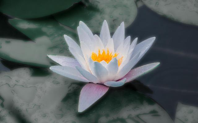 佛教:善积口德,简单一句话也会影响福报,这几种话千万别说