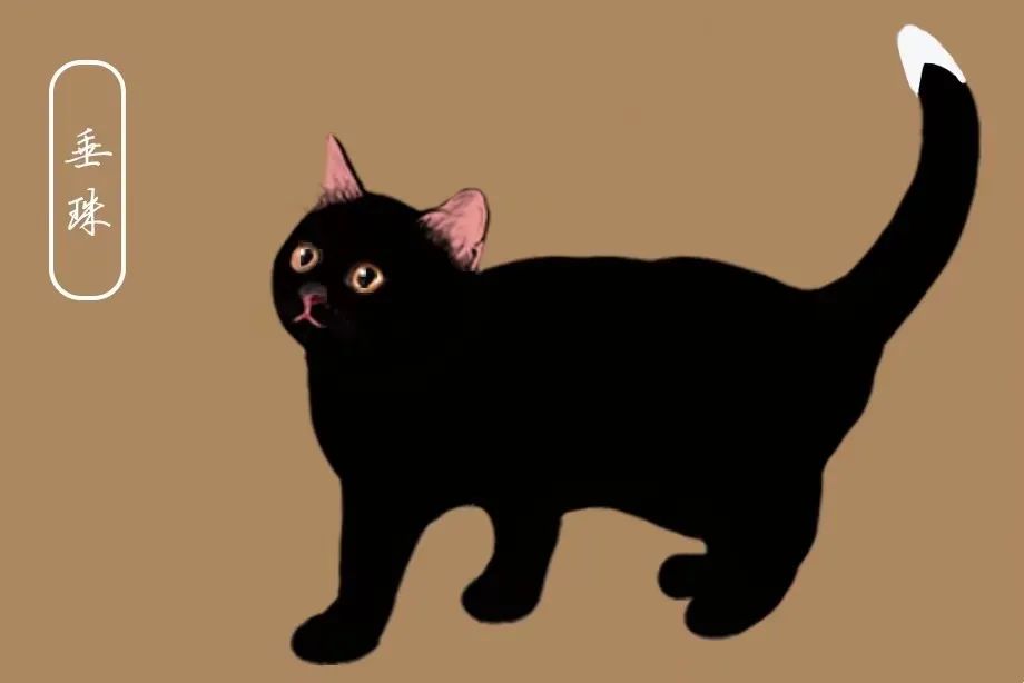 惊了!猫咪在古代竟然有这么文雅的名字?