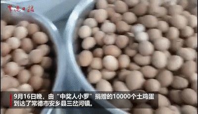 热点|女大学生中奖1.4万个鸡蛋，她的选择让网友纷纷点赞