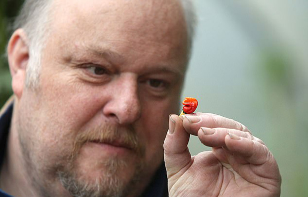 龙息辣椒:世上无人敢吃,辣度堪比生化武器,它的存在有意义吗
