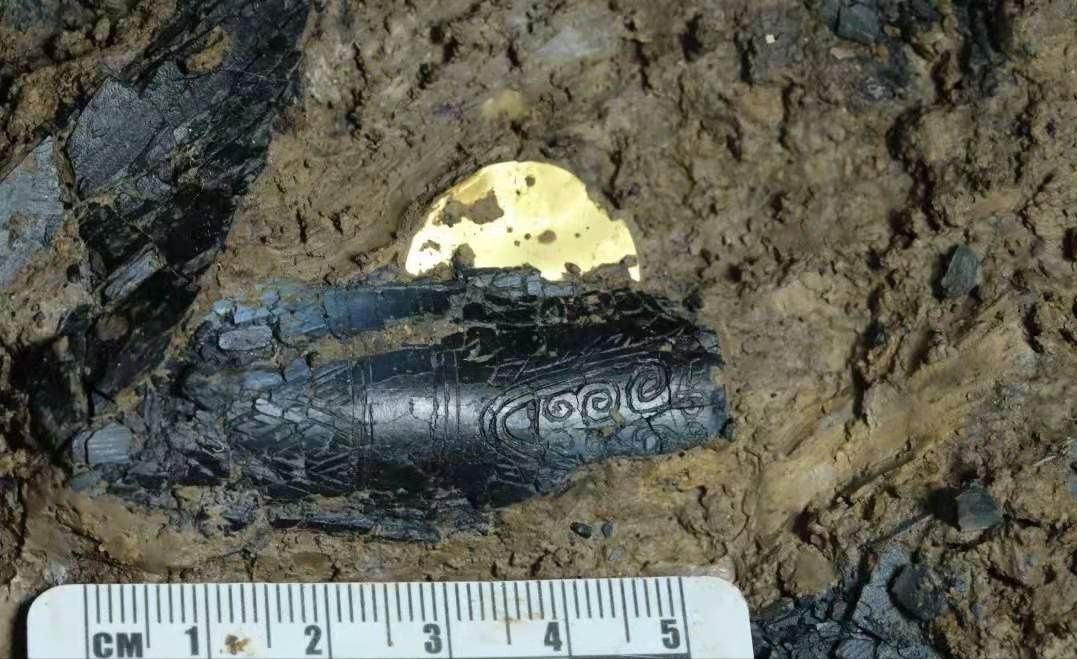 三星堆新出土象牙制品