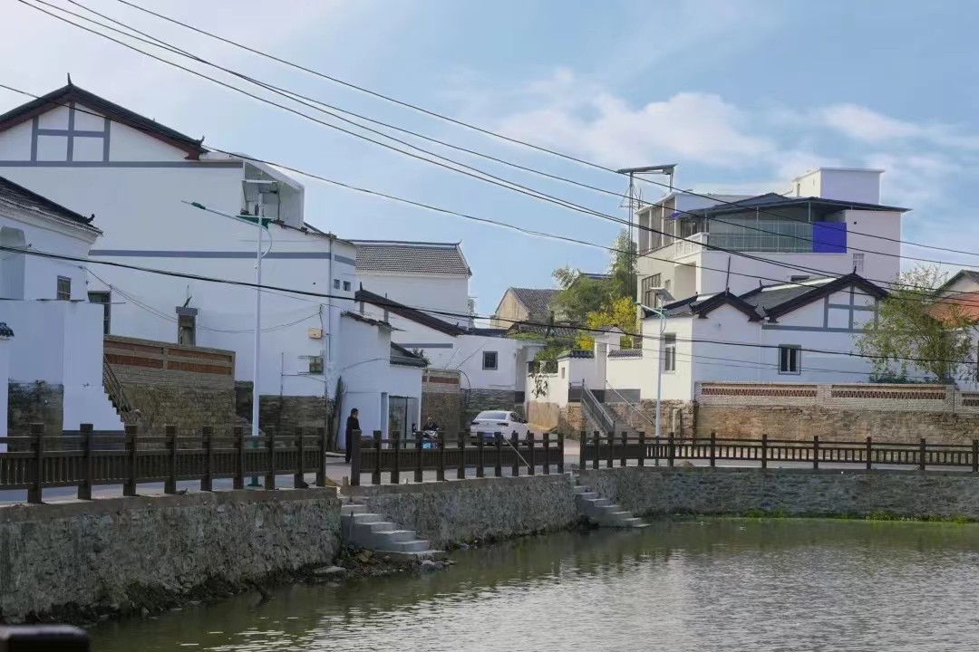 武汉新洲仓埠街开展本轮美丽乡村建设观摩督导活动