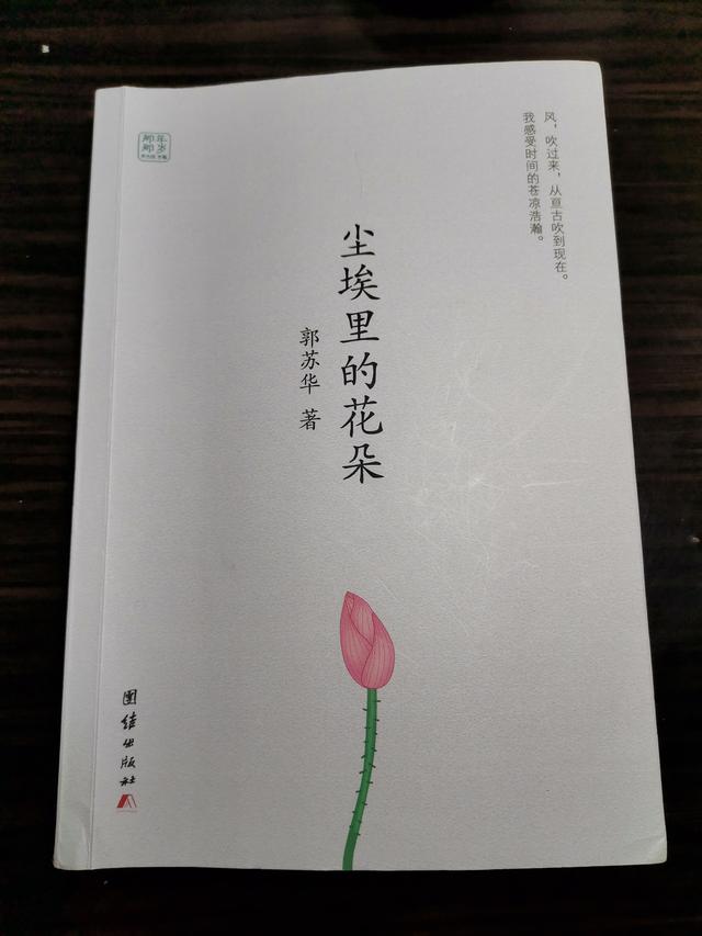 从郭苏华《尘埃里的花朵》看文学优劣的评判标准:咬合现实的能力