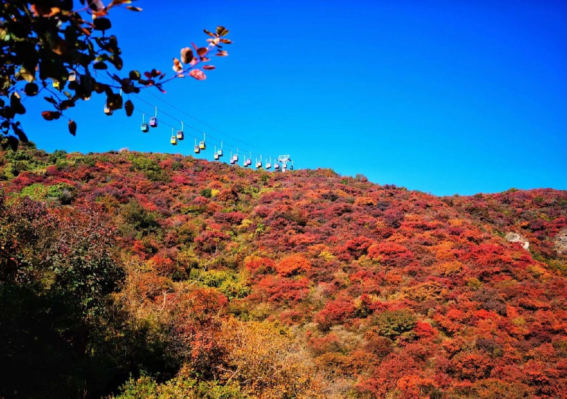 静看万山红遍,慢数似水流年-周口店坡峰岭 我们8点顶门进的,登山到