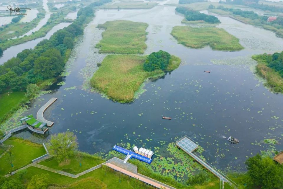靠近溧阳的长荡湖里有个免费景点,是国家级湿地公园,风光宜人