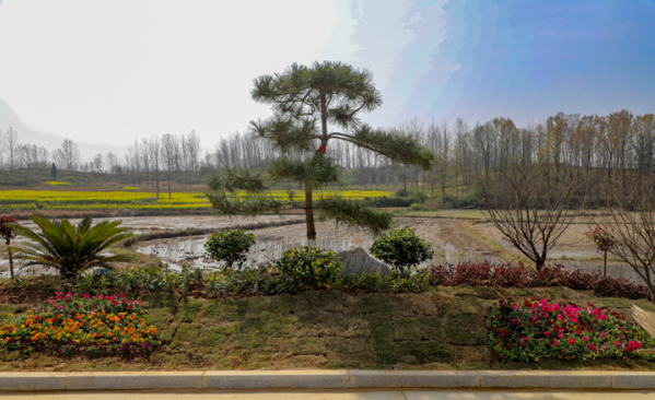 商城县汪桥镇:改善农村人居环境 建设秀美宜居乡村