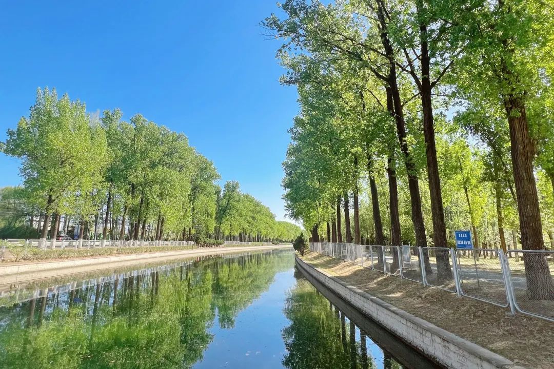 全区唯一!北石槽镇荣获2022年"首都森林城镇"称号