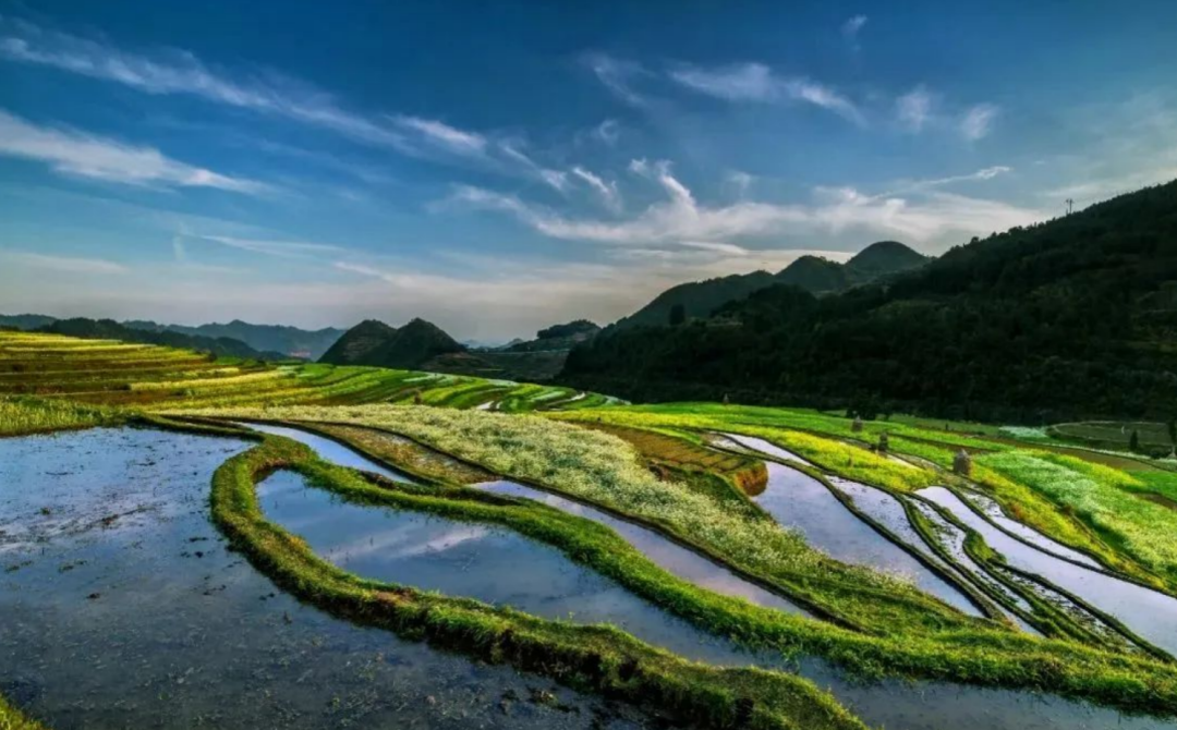 24小时高清慢直播!五一足不出户,让你饱览云上"丹寨八景"