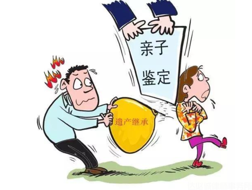 遗产继承纠纷:私生子起诉分遗产受到支持,亲子鉴定报告成关键