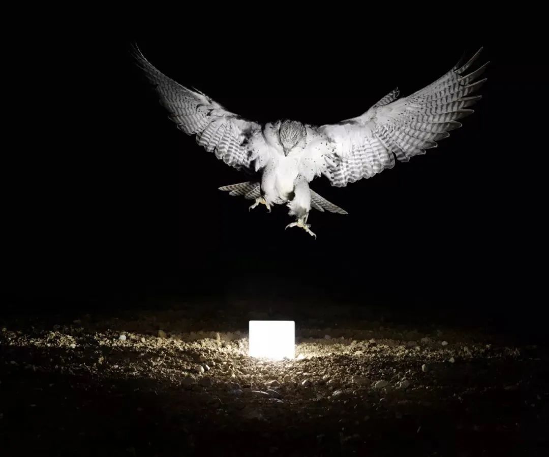 哈苏h6d-100c:极致影像的魅力!