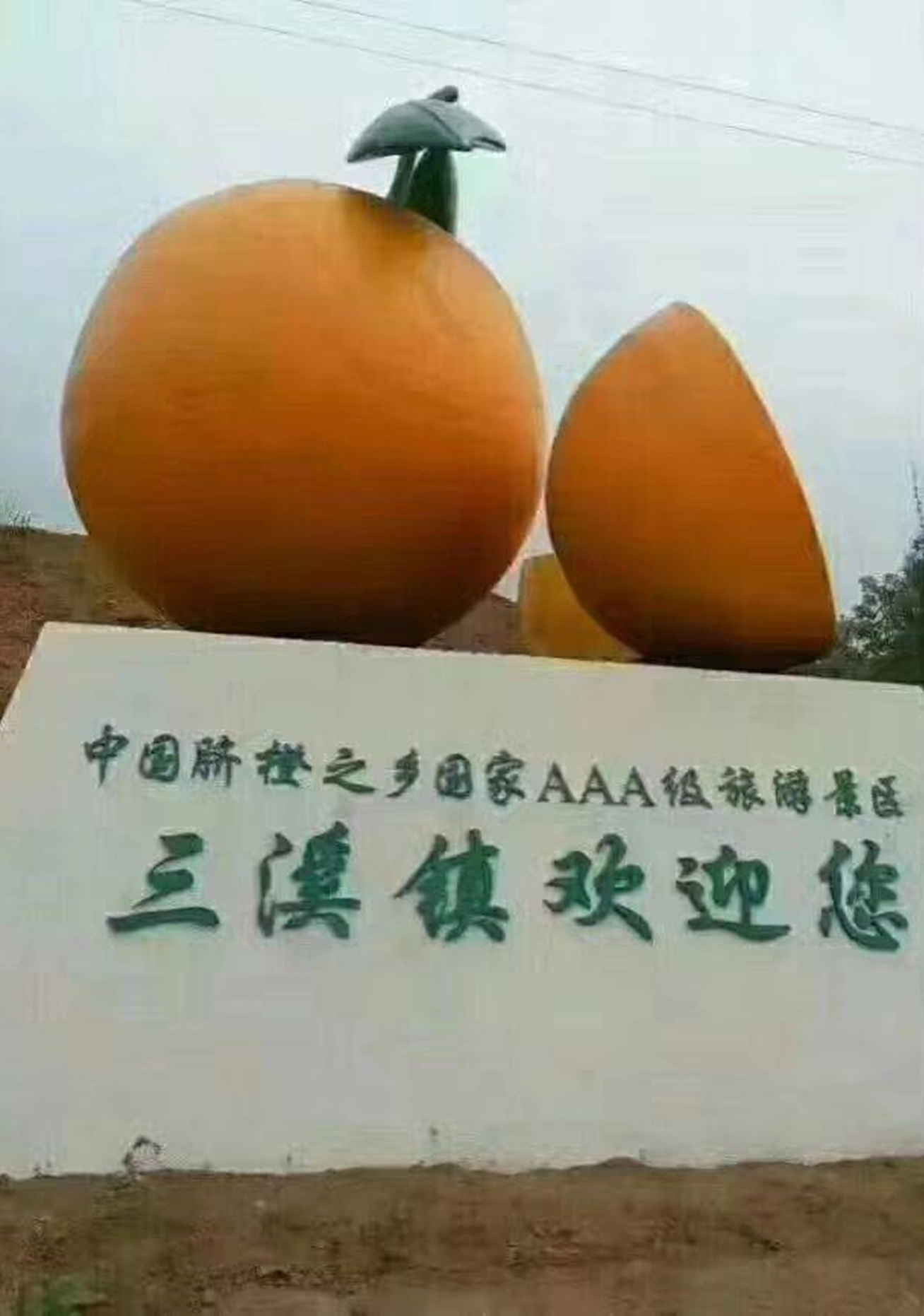 四川省成都市金堂县三溪镇——中国脐橙第一乡