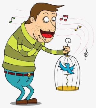 【我的法援故事第582辑】"奇葩爱鸟人士"的罪与罚