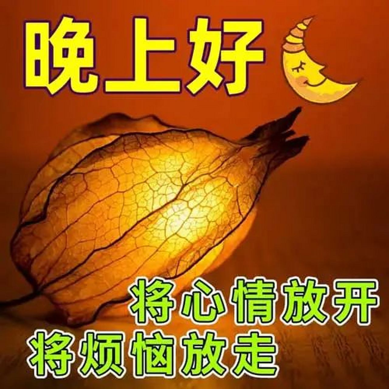 晚上好,虽然城市夜空没有繁星,但我的思念之光照耀你;虽然夏夜没有禅