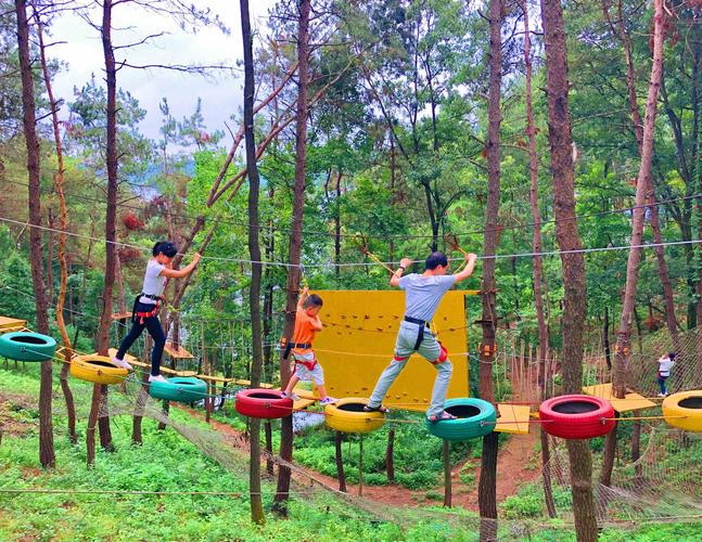 丛林穿越,丛林探险,户外儿童拓展项目—挑战大自然