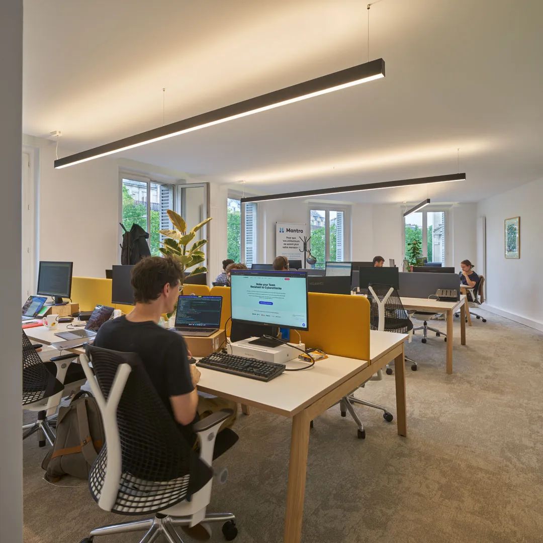 neko照明在巴黎的办公项目