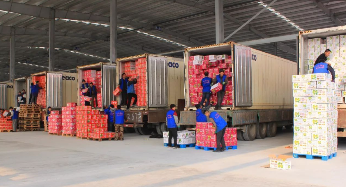 水果批发运输有以下三个信号在提醒你,需要增加环境监测设备了!