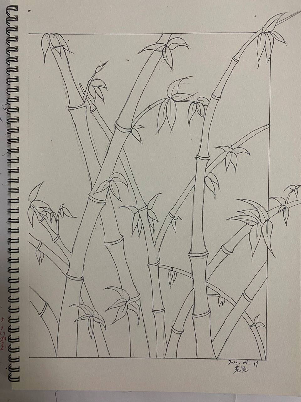 线描—-竹子
