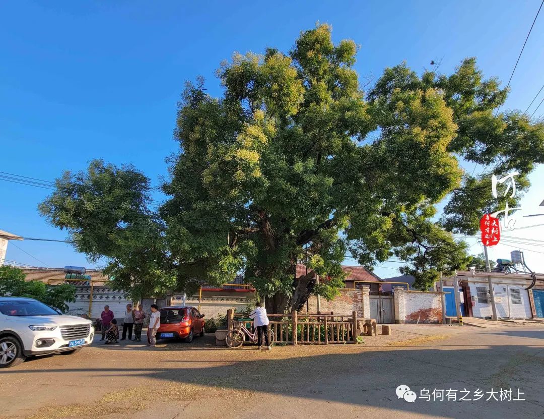 蓟州西龙虎峪村石柱