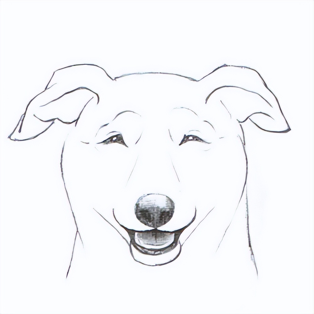 狗的简笔画法表情包图片