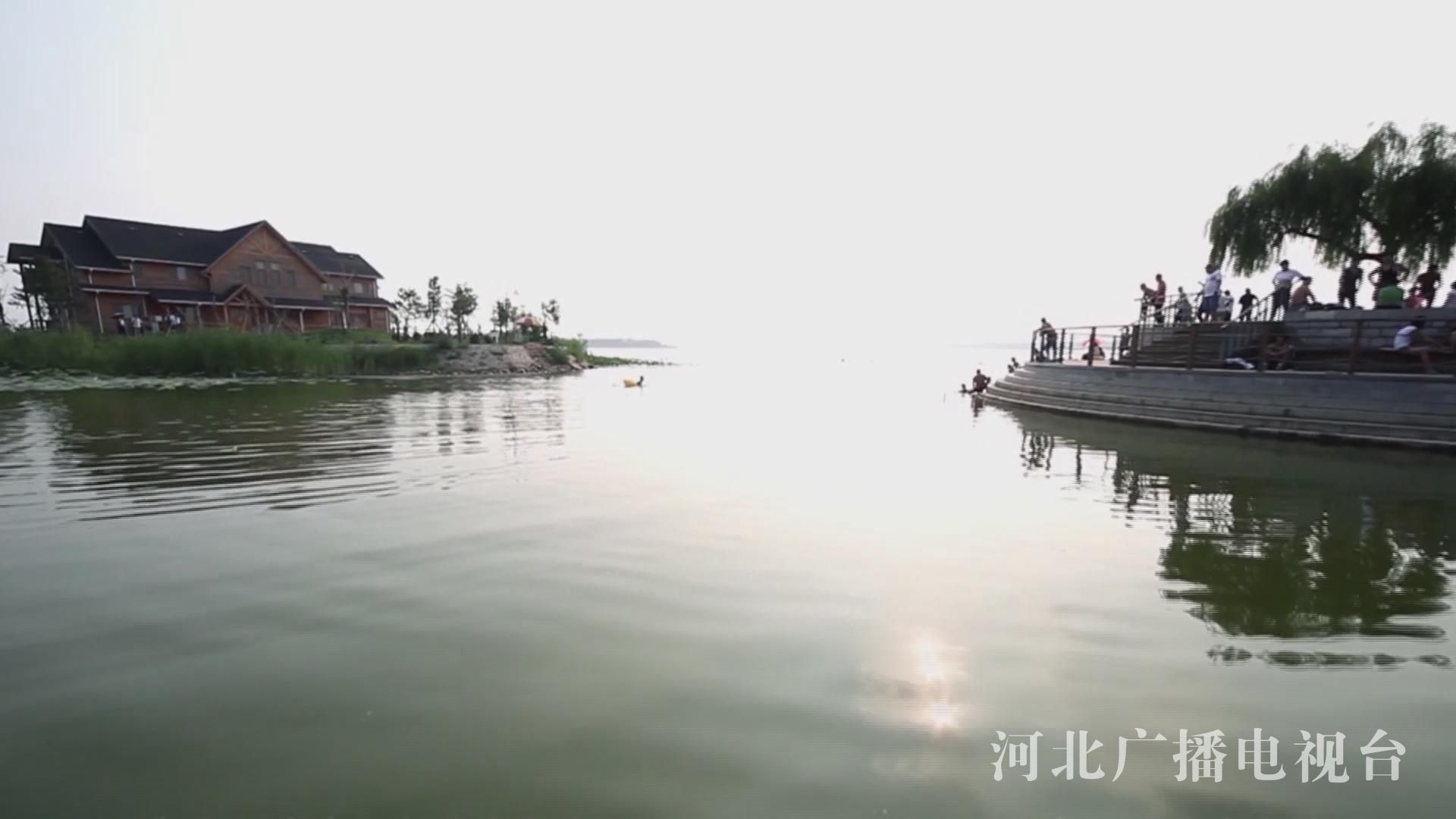 衡水湖城图片