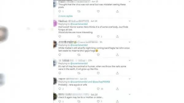 奇妙生物太吓人了！印度一男子爬山时发现疑似已发黑脚趾，结局却“反转”了?