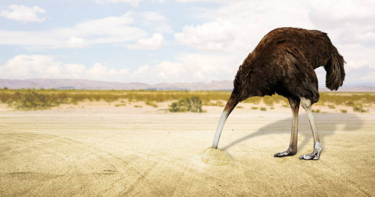 为了逃避问题,你不知道我有多努力