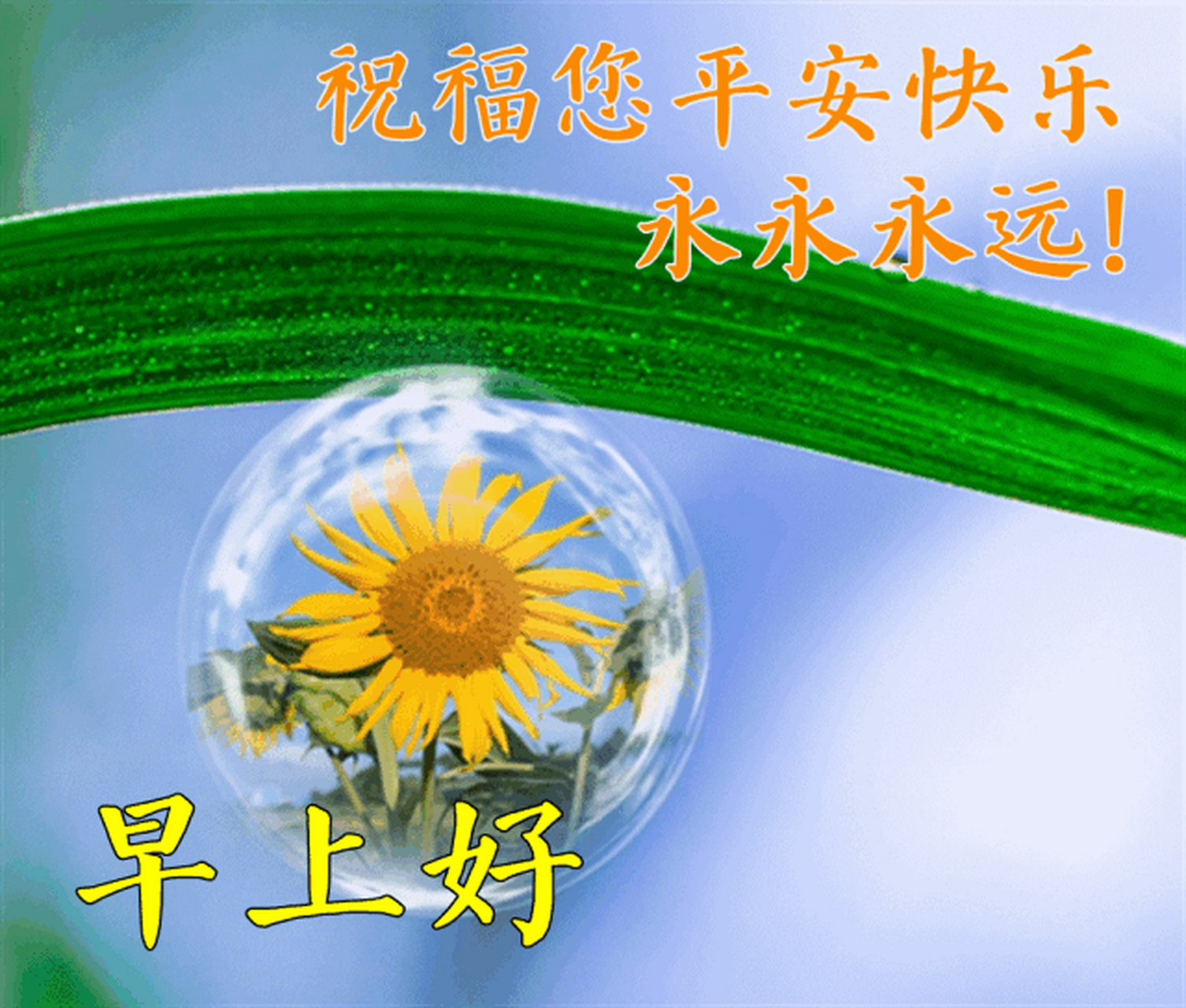 清晨暖心早上好图片表情祝福语录,早上好祝福语动态美图 1.