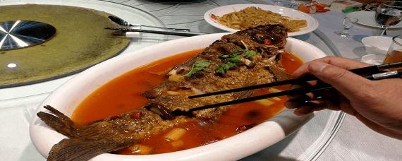 鱼头酒顺口溜10句