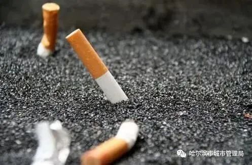 烟头是什么垃圾?丨其实还可以这样变废为宝