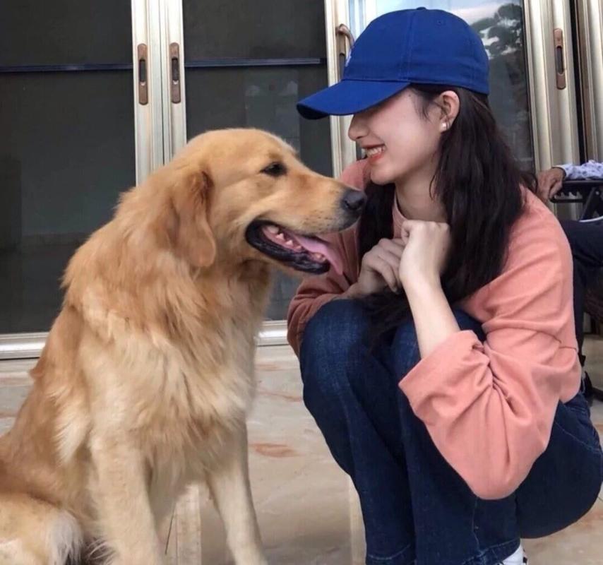 为什么公犬这么受女生喜爱?原因逃不过这几点