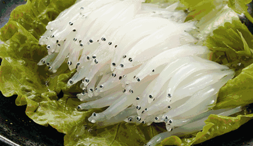 寻访"最后的水上江南",在洞庭东山,拥抱太湖诗意