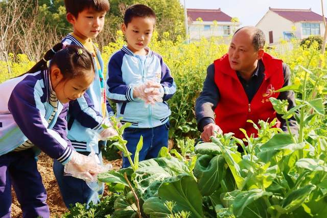 南京市高淳區古柏街道古柏村:村園聯動護新綠