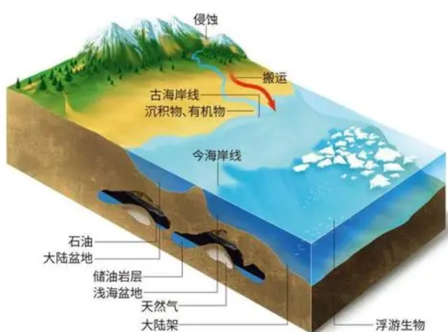 海洋的结构示意图图片